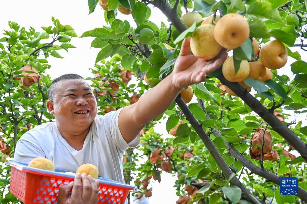 捕鱼游戏大厅手机版